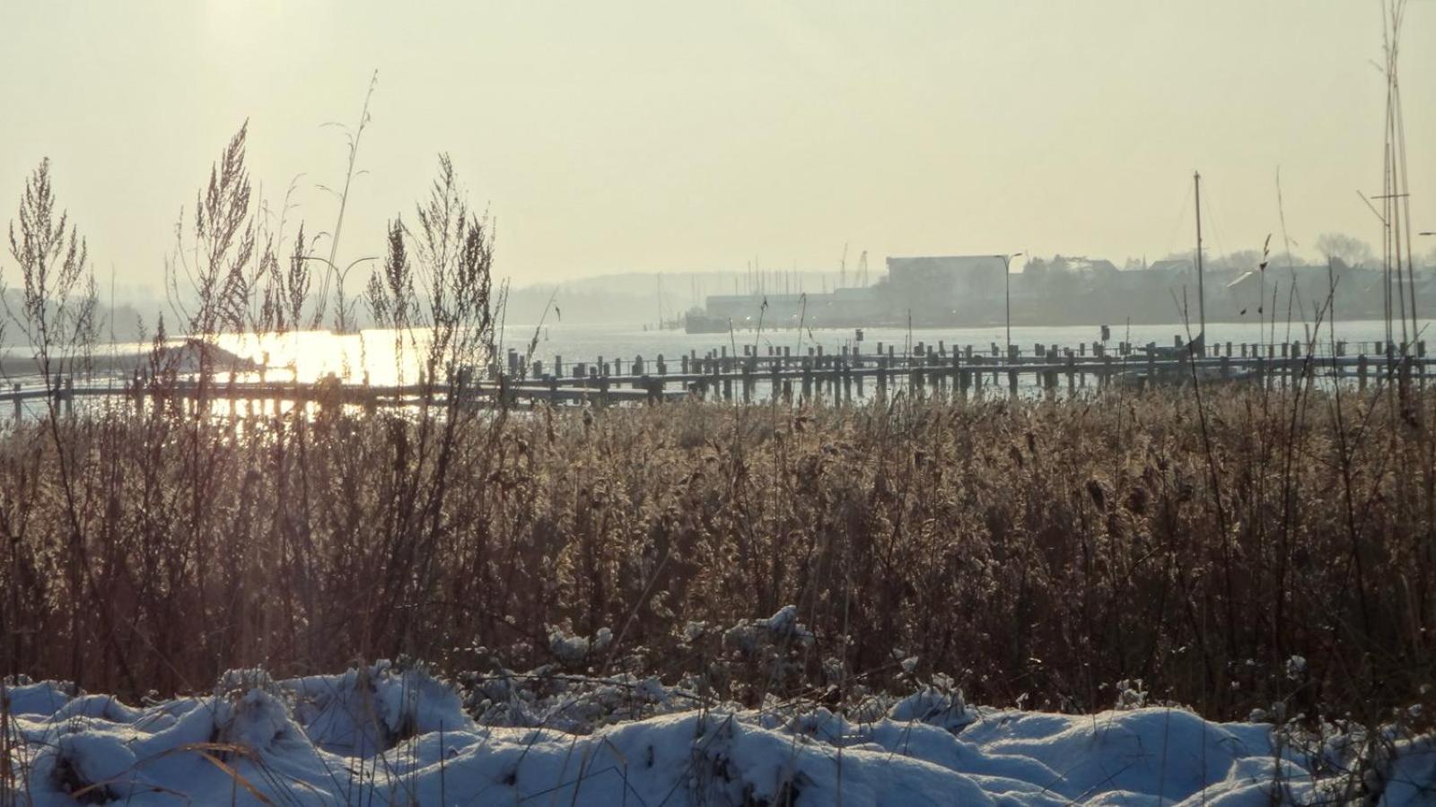 Ferienhaus Dat Smuke Swedenhuus Kappeln Kültér fotó
